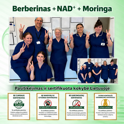 𝐆𝐋𝐎𝑹𝑬𝑵𝑫𝗔® 𝑴𝒐𝒓𝒊𝒏𝒈𝒂 & 𝑩𝒆𝒓𝒃𝒆𝒓𝒊𝒏𝒂 10-in-1 𝐏𝐚𝐳̌𝐚𝐧𝐠𝐮𝐬 𝐍𝐚𝐧𝐨 𝐌𝐢𝐜𝐫𝐨𝐚𝐝𝐚𝐭𝐢𝐧𝐢𝐬 𝐏𝐥𝐞𝐢𝐬𝐭𝐫𝐚𝐬🧡🧡