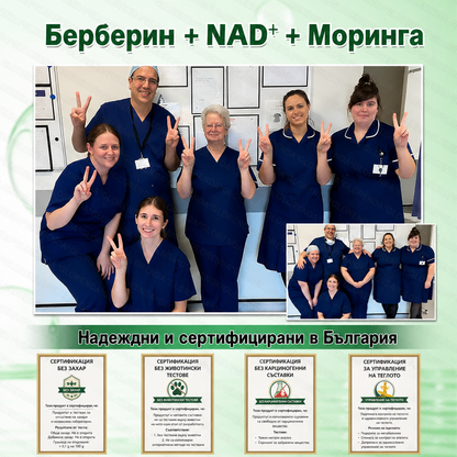 𝐆𝐋𝐎𝑹𝑬𝑵𝑫𝗔® 𝑴𝒐𝒓𝒊𝒏𝒈𝒂 & 𝑩𝒆𝒓𝒃𝒆𝒓𝒊𝒏𝒂 10-в-1 Усъвършенстван нано пластир с микро🧡🧡